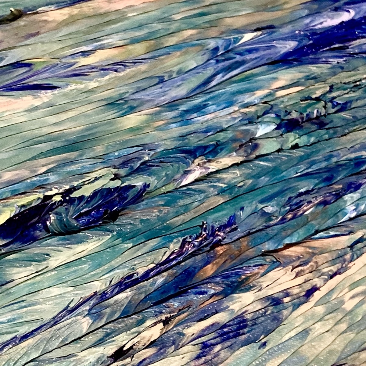 Irish Reef 6