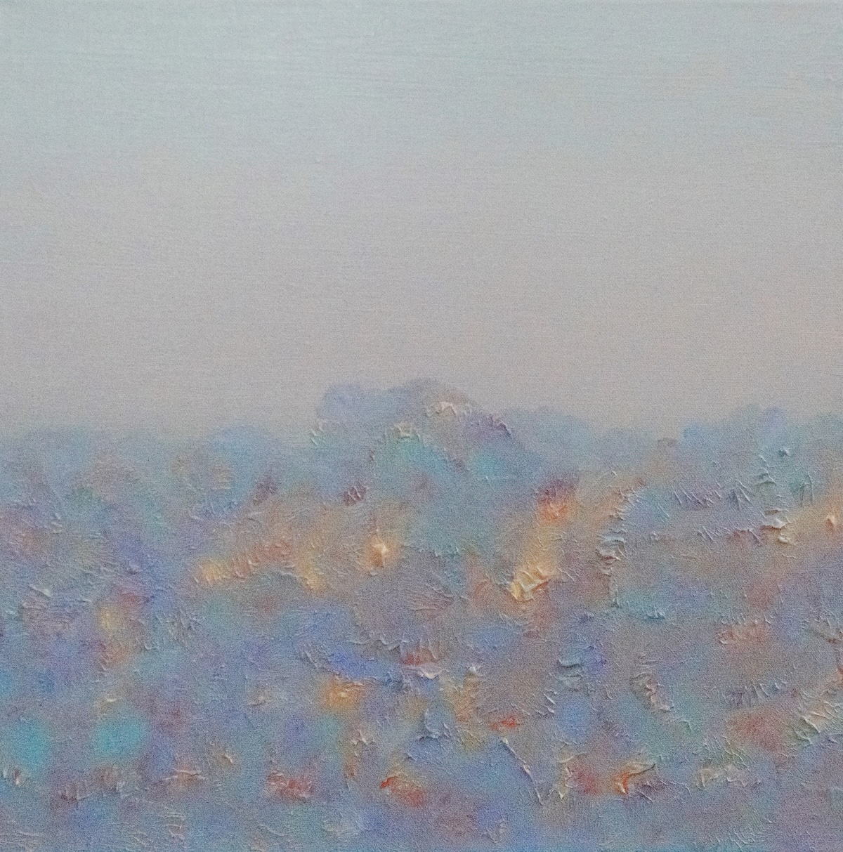 Garden Under Haze 1